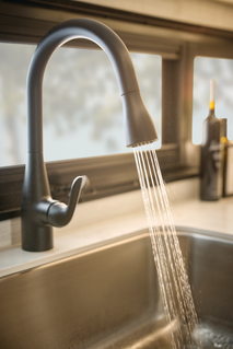 FA26_INT_ELE_Faucet_FNL_CMYK.jpg